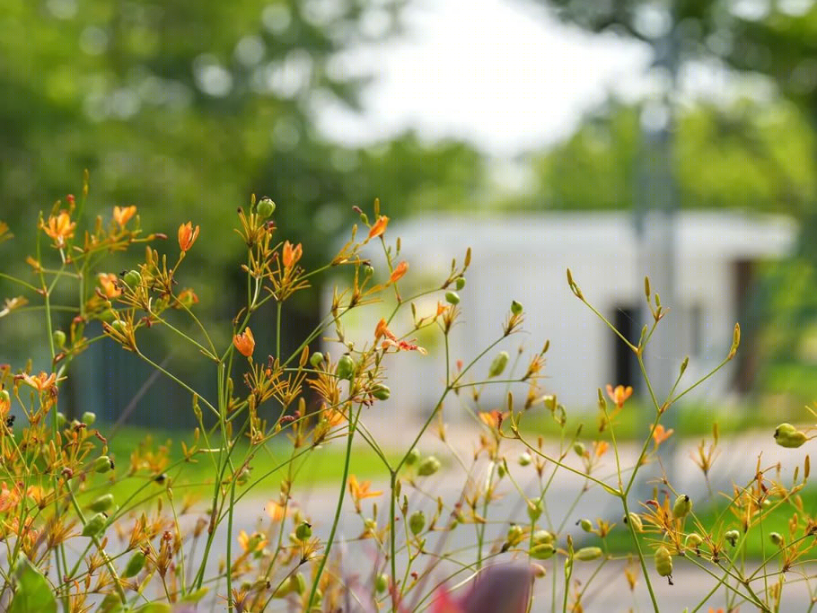 海口西秀公园丨中国海口丨四川建筑设计研究院-49