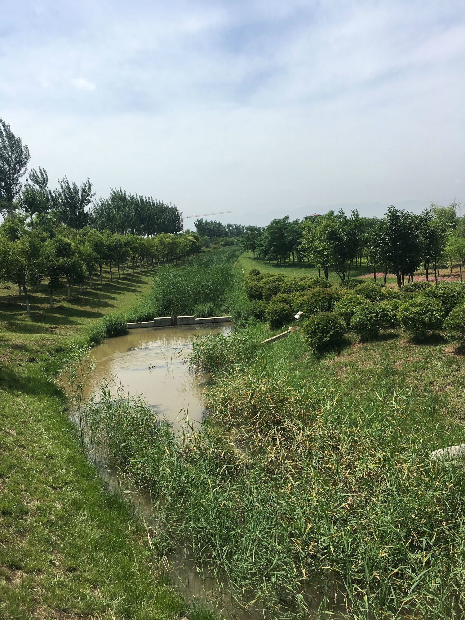 沣河滨河公园-49