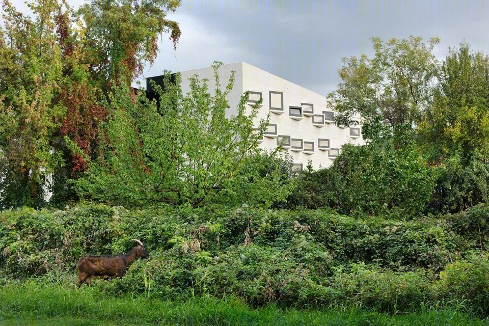 普利莫斯卡大学 Livade 校区教学楼 1.0 / dekleva gregorič architects-8