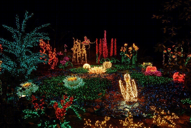美国贝尔维尤植物园(America Bellevue Botanical Garden)-42