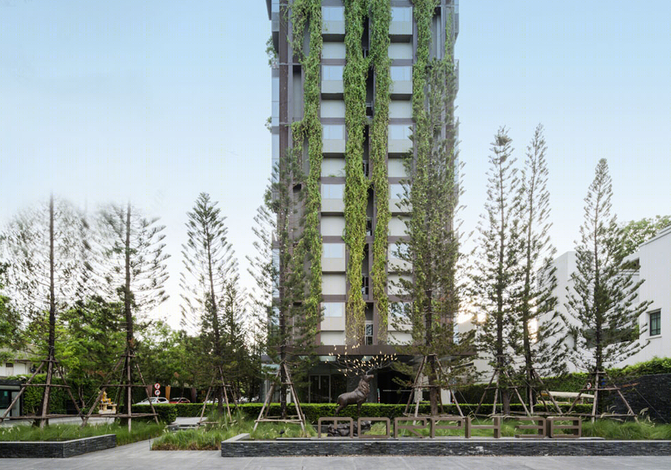 阿什顿·莫夫住宅景观-10