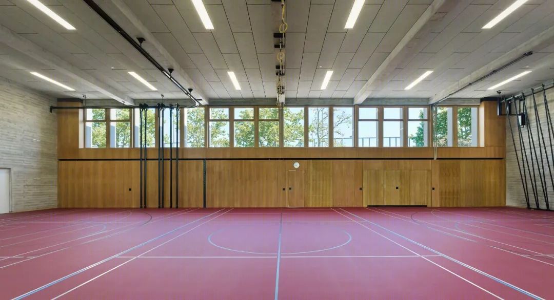瑞士巴塞尔体育馆与游泳馆改造丨Marina Dold-42