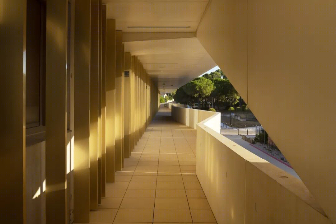 法国蒙彼利埃第二大学校园建筑丨BPA ARCHITECTURE-29
