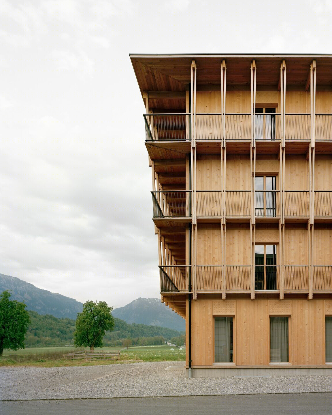 瑞士 Küng Holzbau 总部丨Seiler Linhart Architekten-10