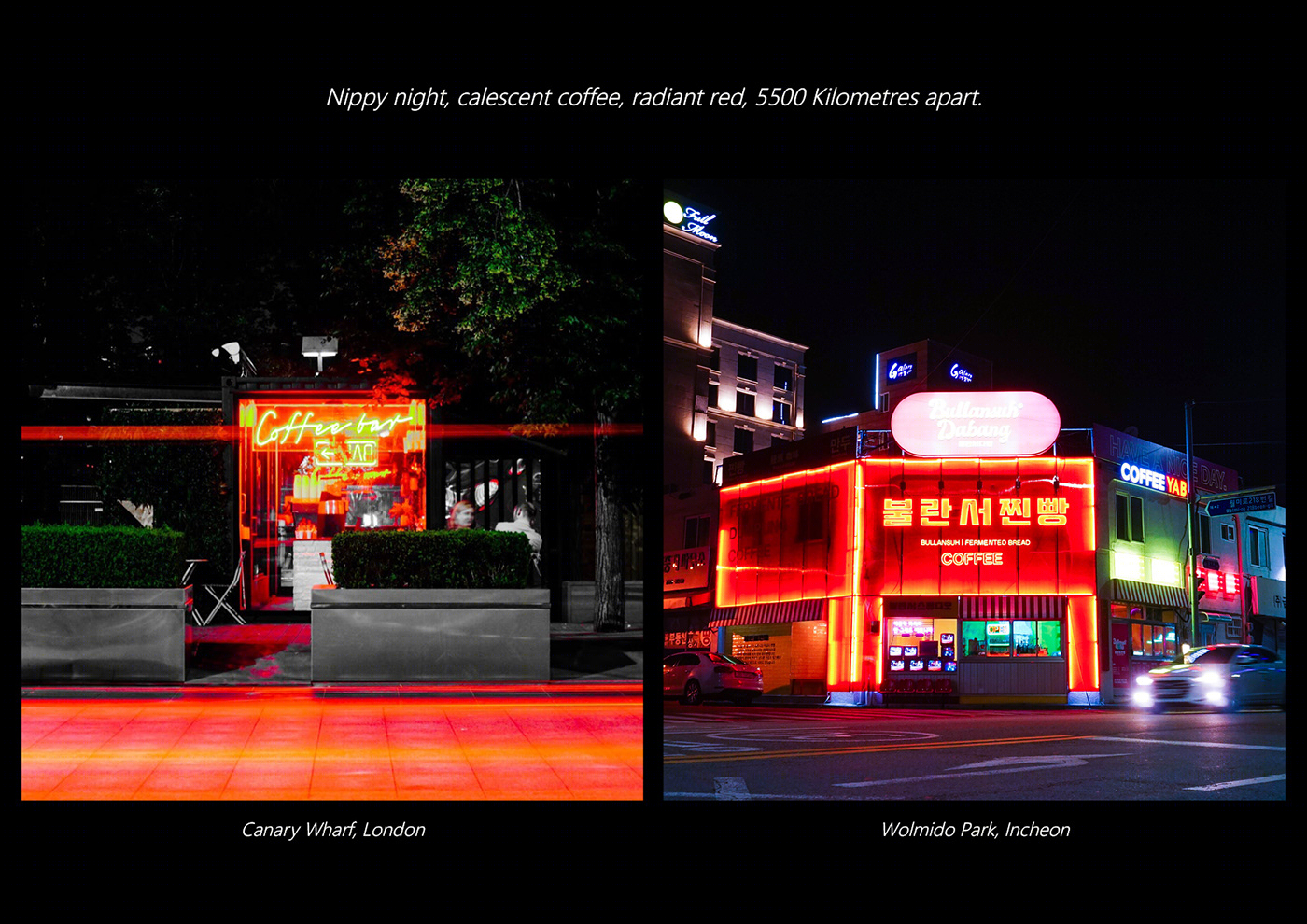 Vivid Radiance - Photography Portfolio-8