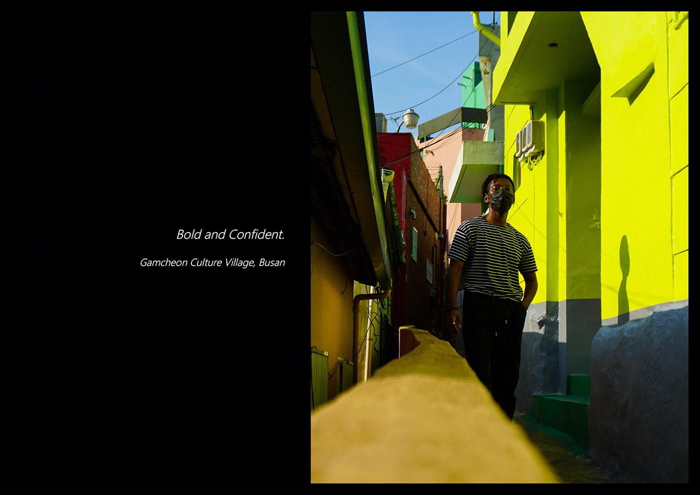 Vivid Radiance - Photography Portfolio-9