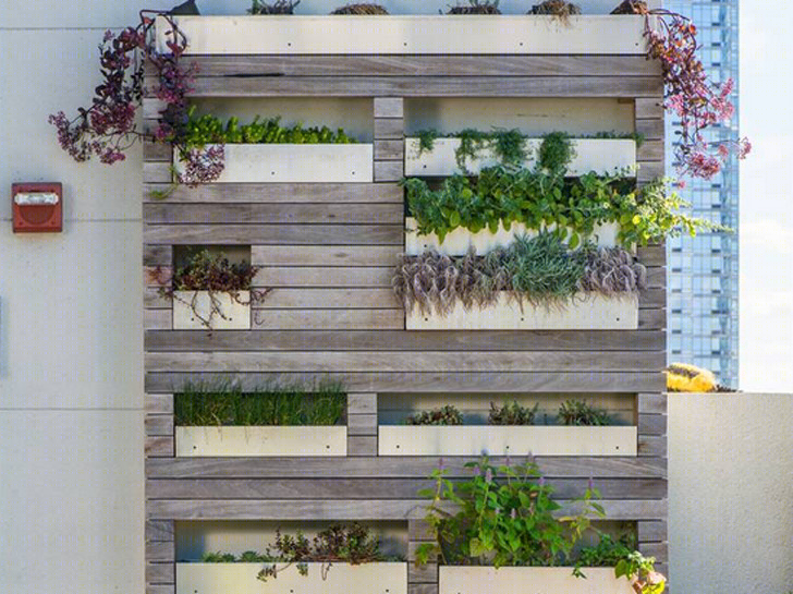 纽约“水池农场”丨Future Green Studio,Farming Up-21
