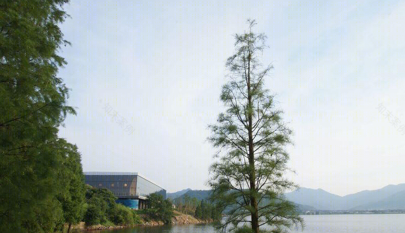 余姚四明湖国际会议中心-21