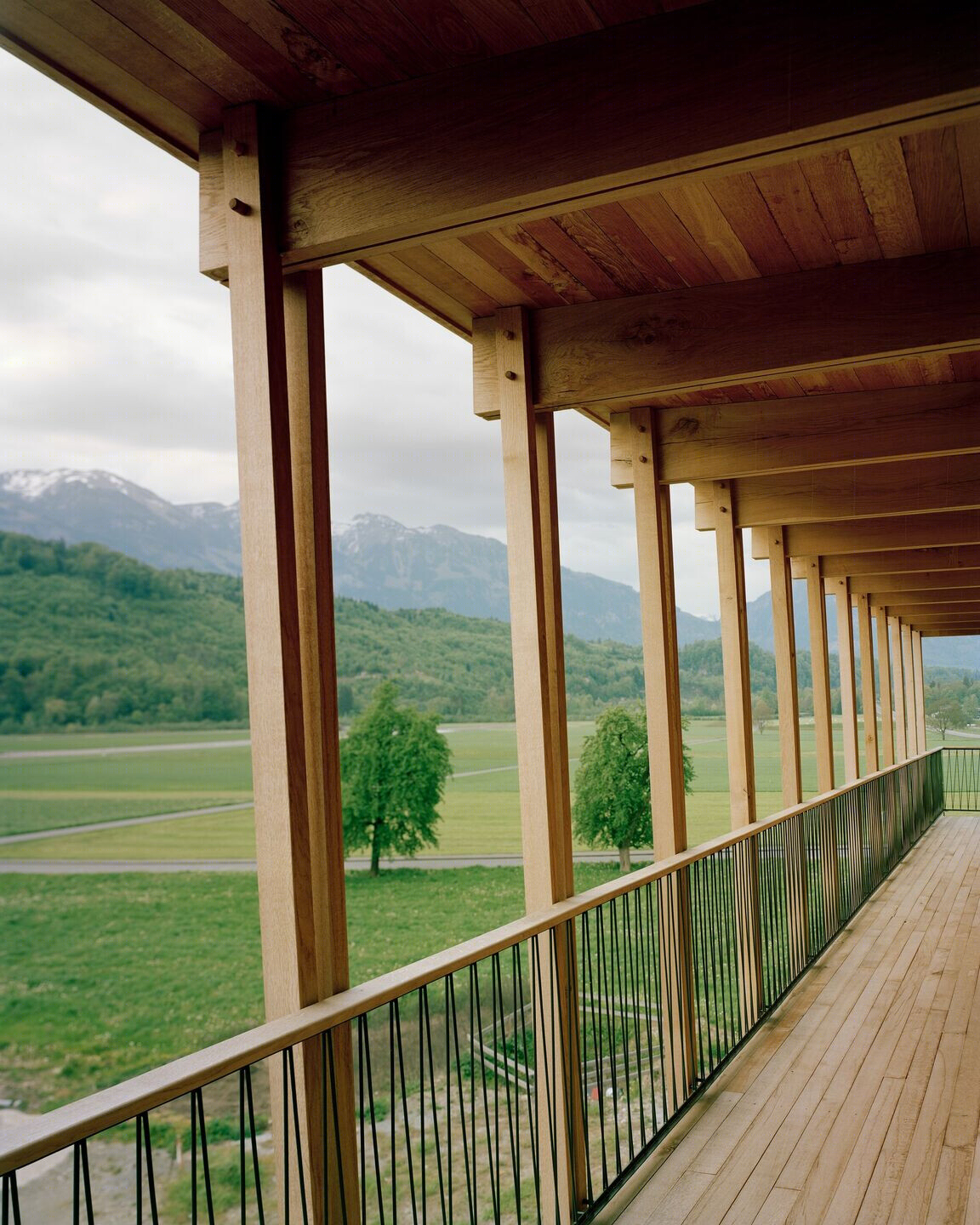 瑞士 Küng Holzbau 总部丨Seiler Linhart Architekten-18