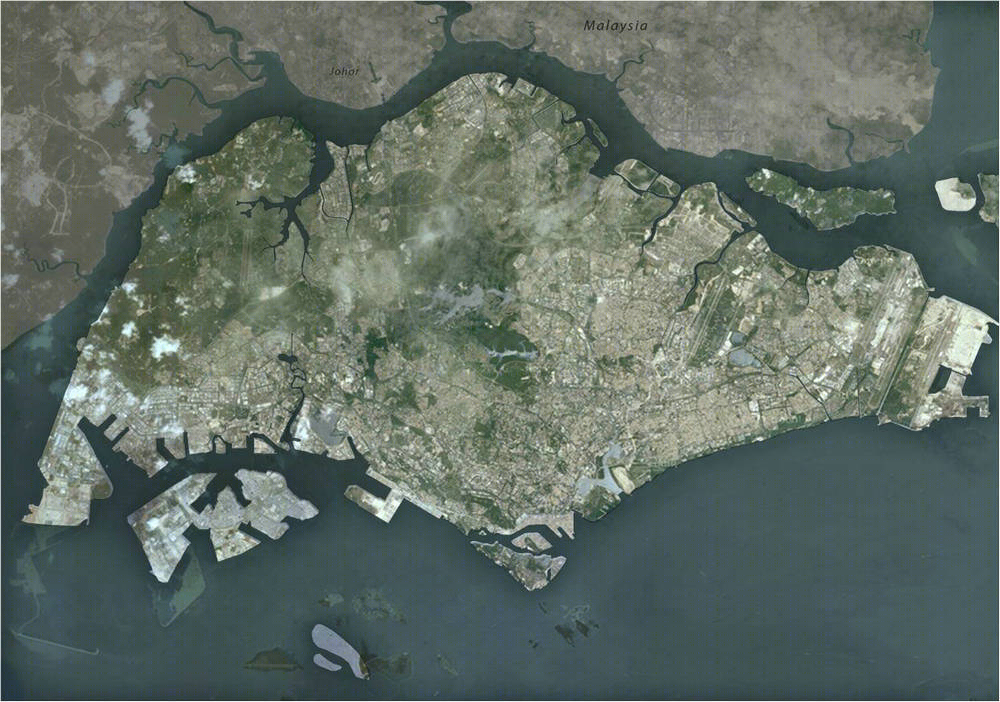 新加坡双溪布洛湿地公园丨戴水道设计-25
