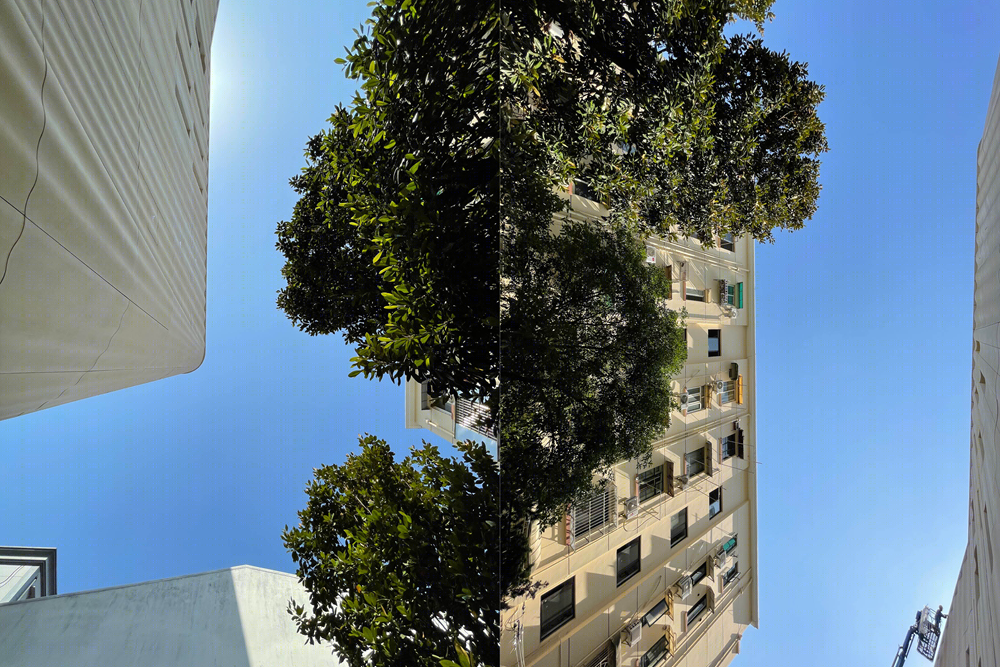 宛平剧院改扩建工程丨中国上海丨同济大学建筑设计研究院(集团)有限公司-77