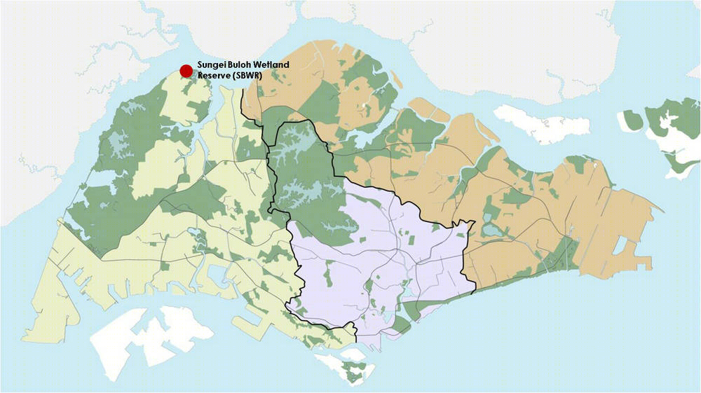 新加坡双溪布洛湿地公园丨戴水道设计-27