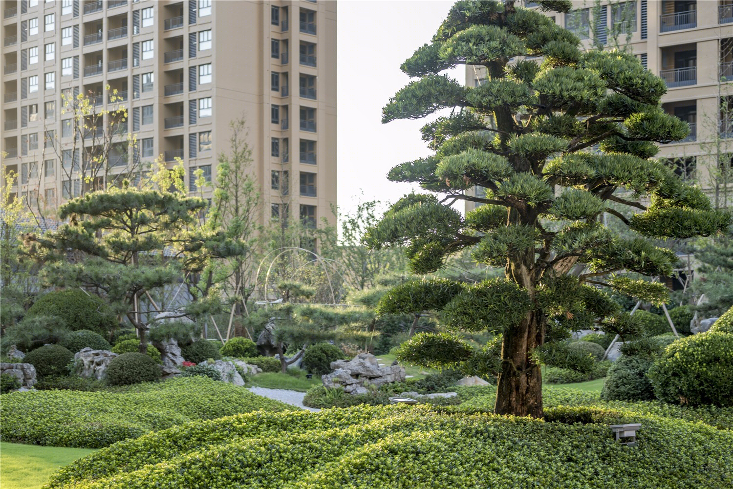 泰州美好领域住宅景观-21