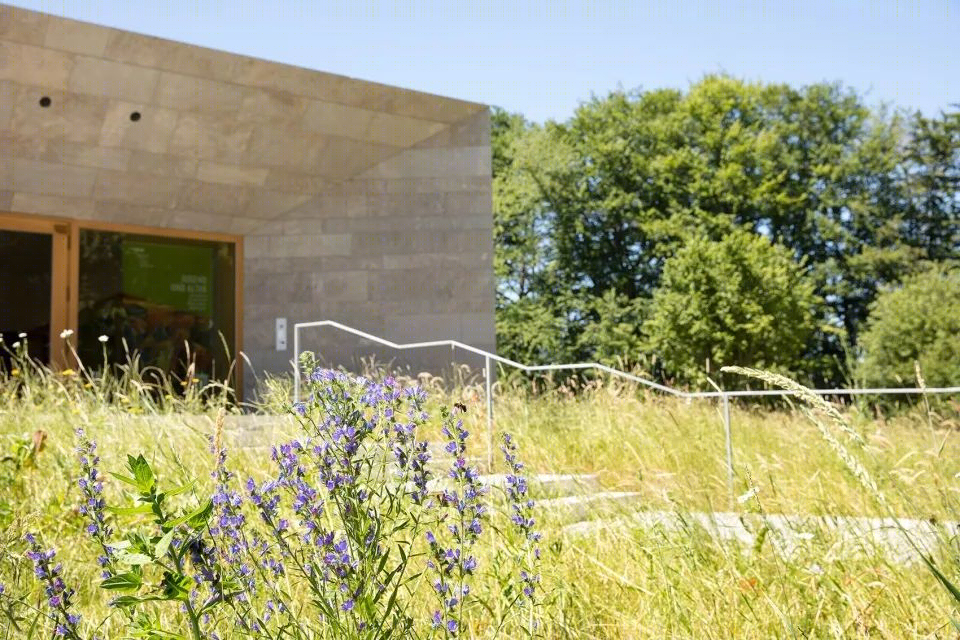 融入乡村环境的伯克斯提格博物馆-14
