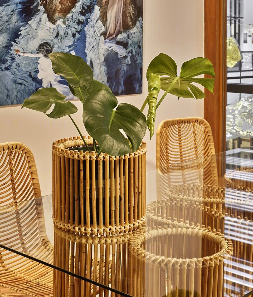 曼谷 Vikasa Yoga 总部丨泰国曼谷丨Enter Projects Asia-24