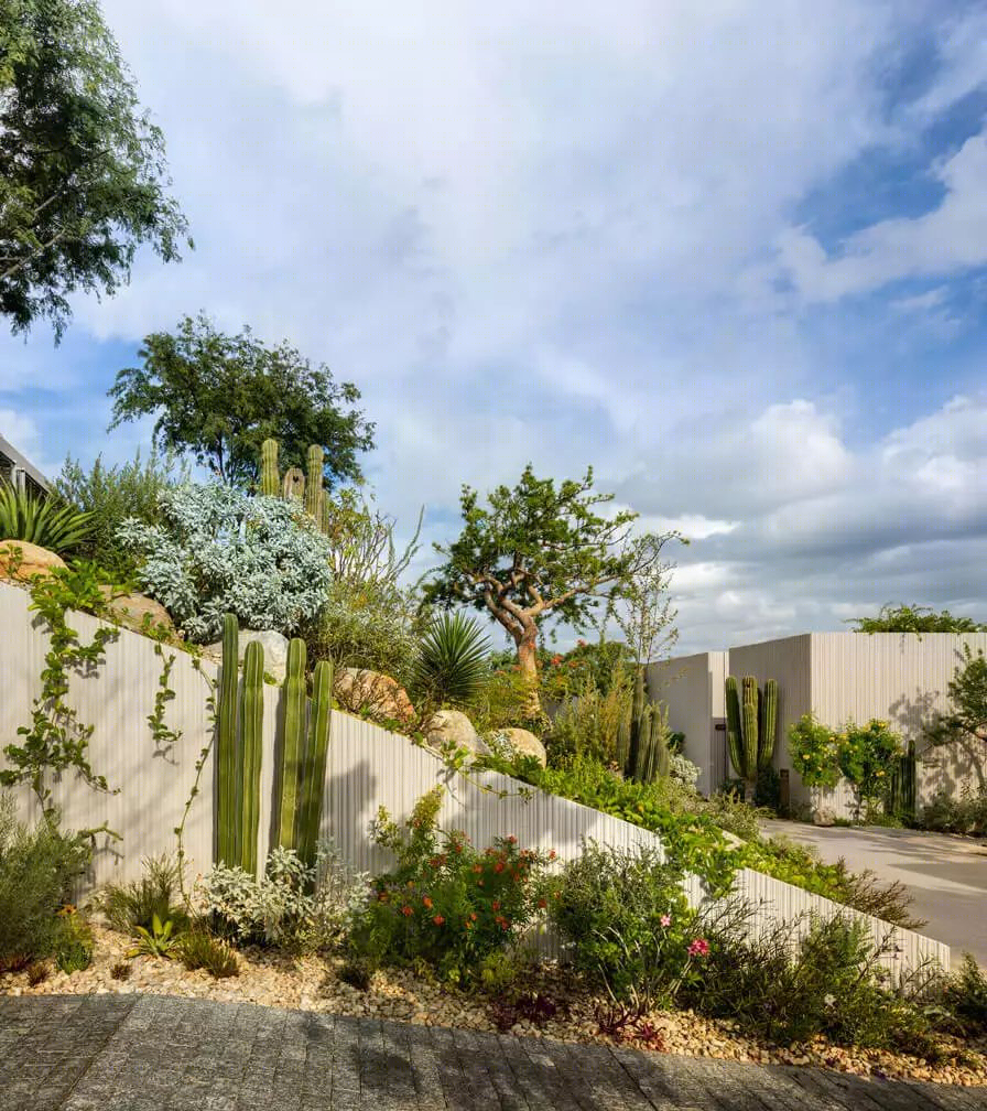 墨西哥 SOLAZ LOS CABOS 豪华度假酒店——沙漠与大海的完美融合-13