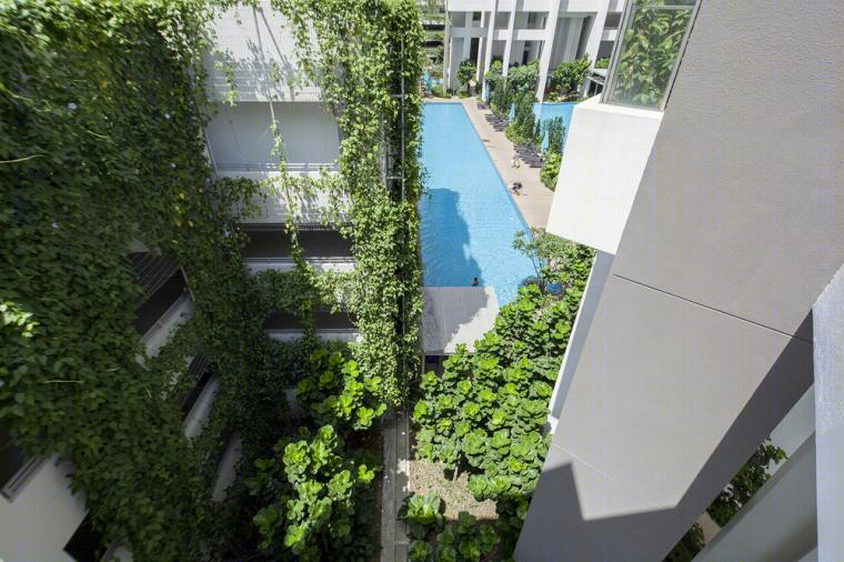 新加坡远景住宅-15