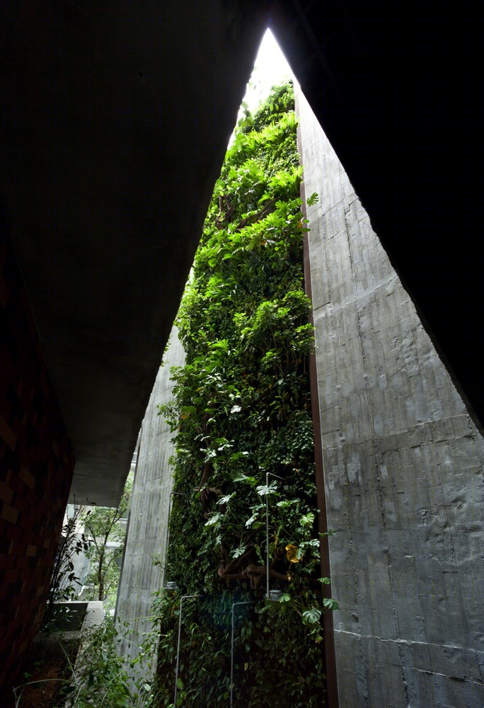 新加坡Killiney路住宅大厅丨ipli architects-14