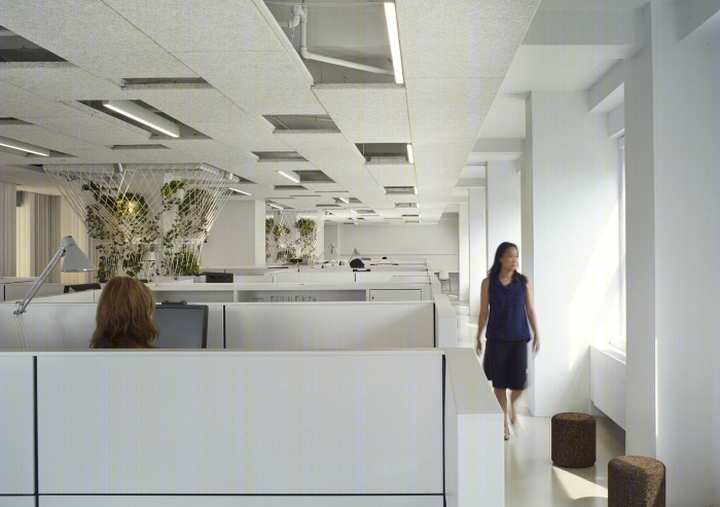 美国自然资源保护委员会办公室丨Studio Gang Architects-24
