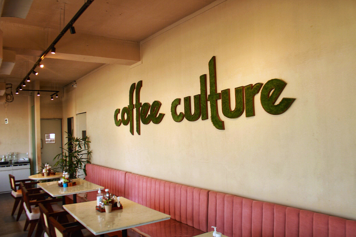Anastasiya Gushchina丨咖啡店丨Cafe shoot _coffee culture-4