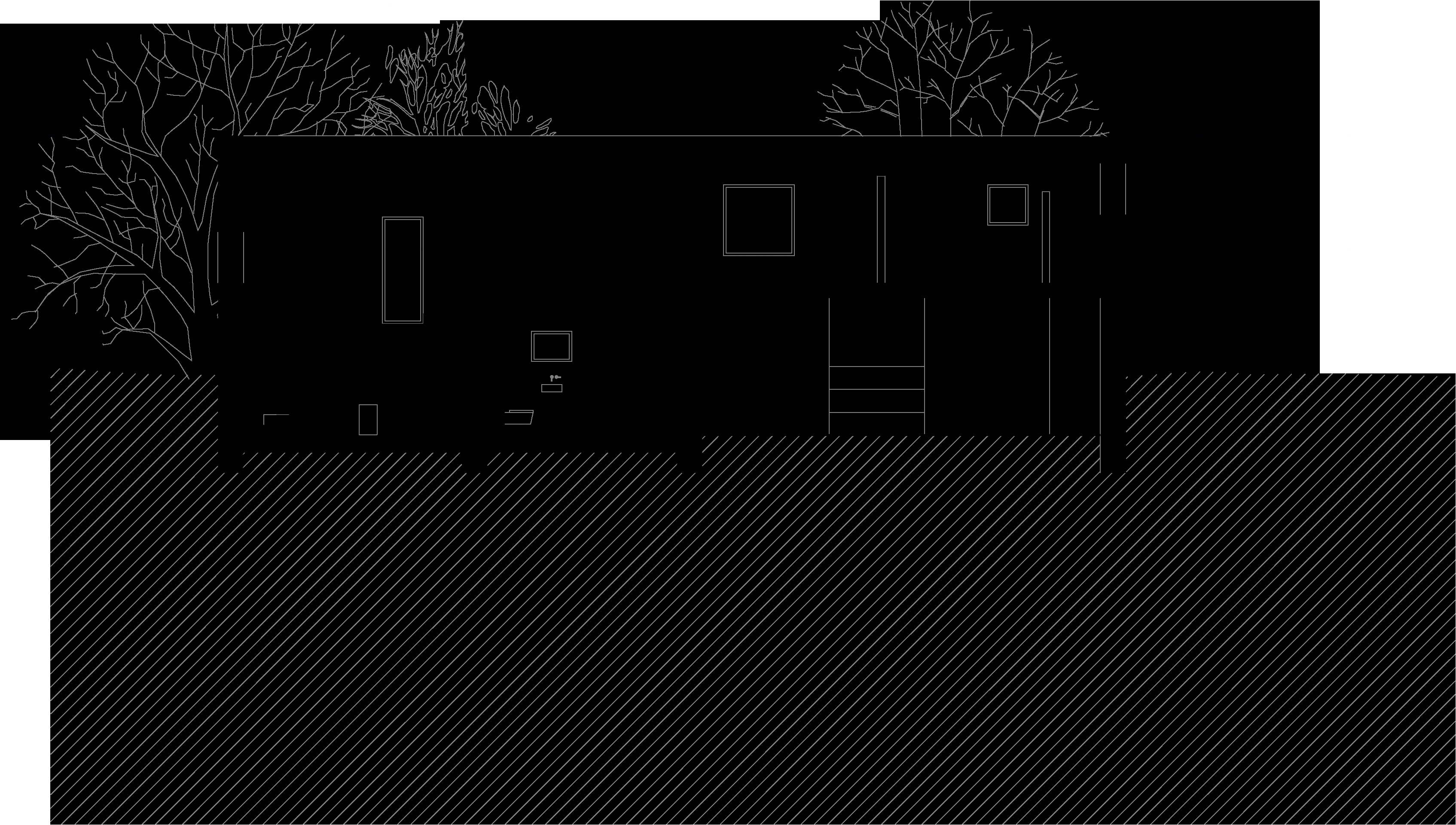 Sen coll coll-13