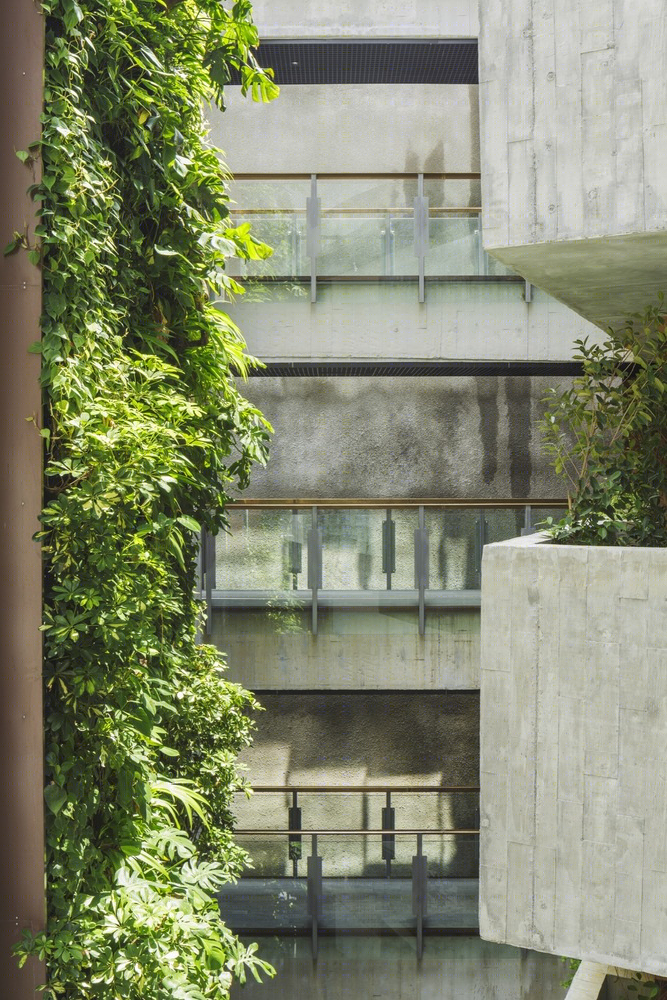 新加坡Killiney路住宅大厅丨ipli architects-16