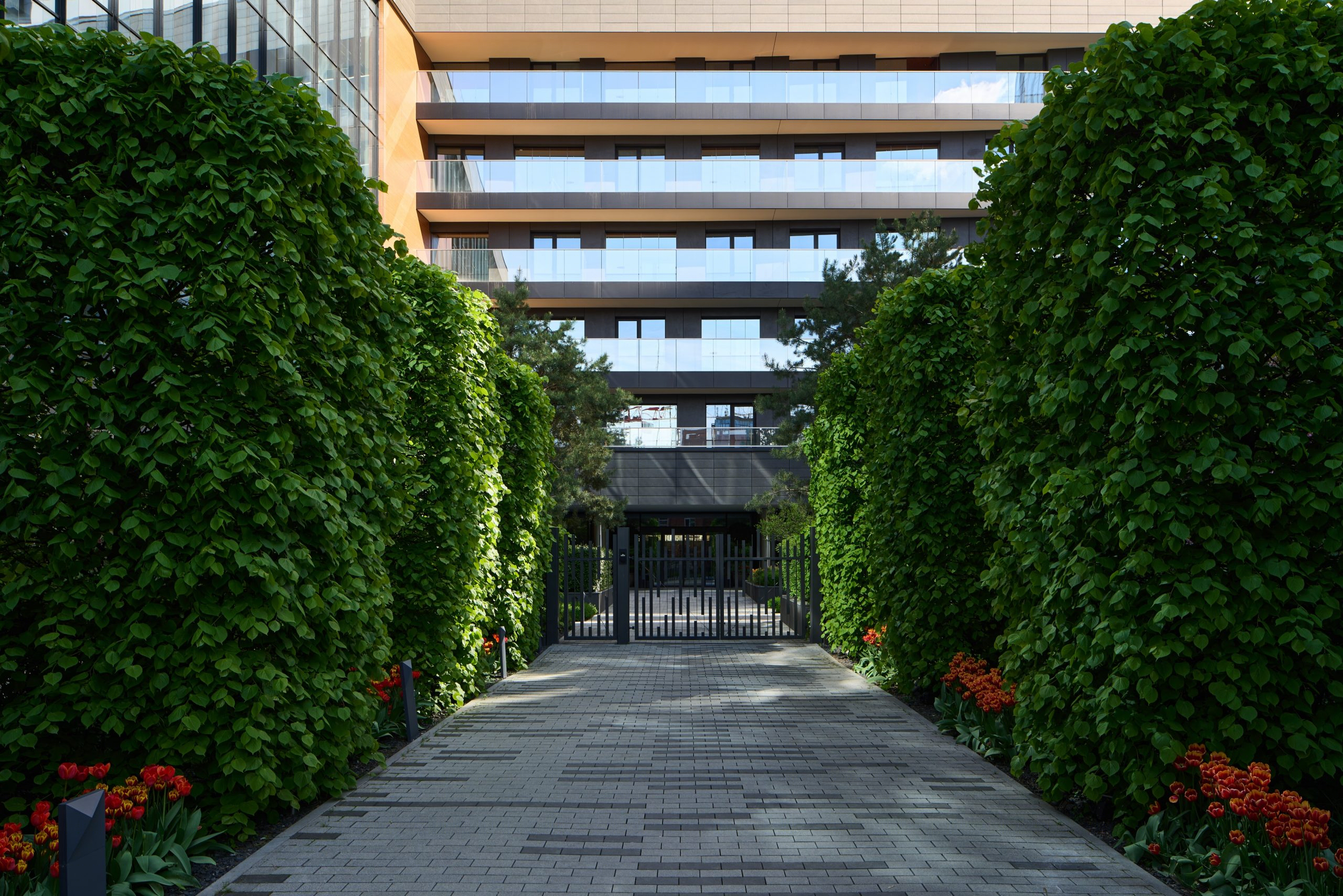 康定斯基住宅庭院-18