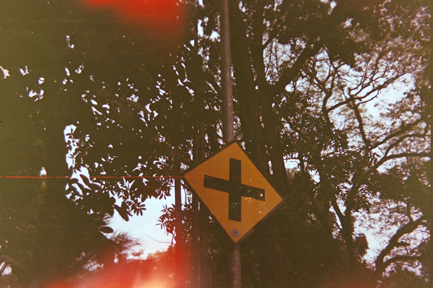Kodak Vision3 250D - Fujifilm Zipp-2