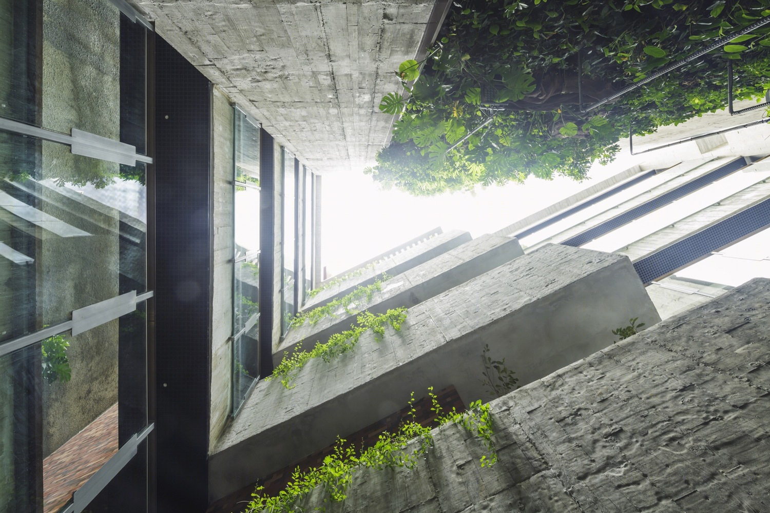 新加坡Killiney路住宅大厅丨ipli architects-17