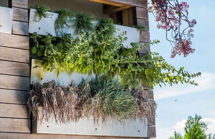 纽约“水池农场”丨Future Green Studio,Farming Up-24