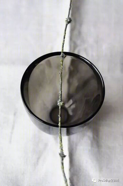 广州新中式别墅设计,东方情韵的现代演绎-0