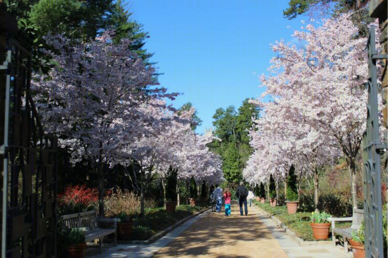 美国杜克大学校园景观-25