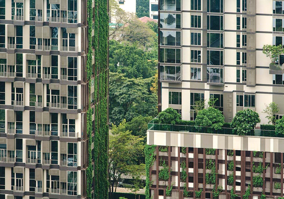 阿什顿·莫夫住宅景观-15