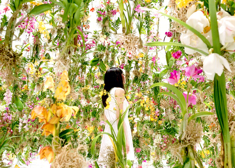 日本 Teamlab 打造交互式漂浮花园,创新科技与自然美的完美融合-21