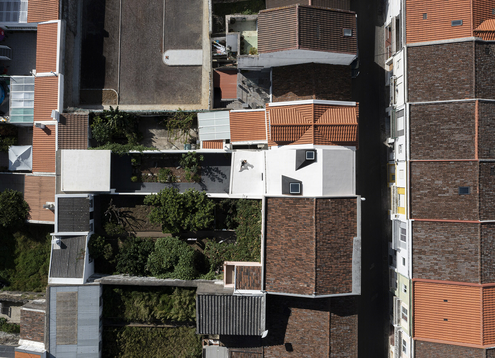 风车住宅丨葡萄牙蓬塔德尔加达丨Ivo Tavares Studio-68