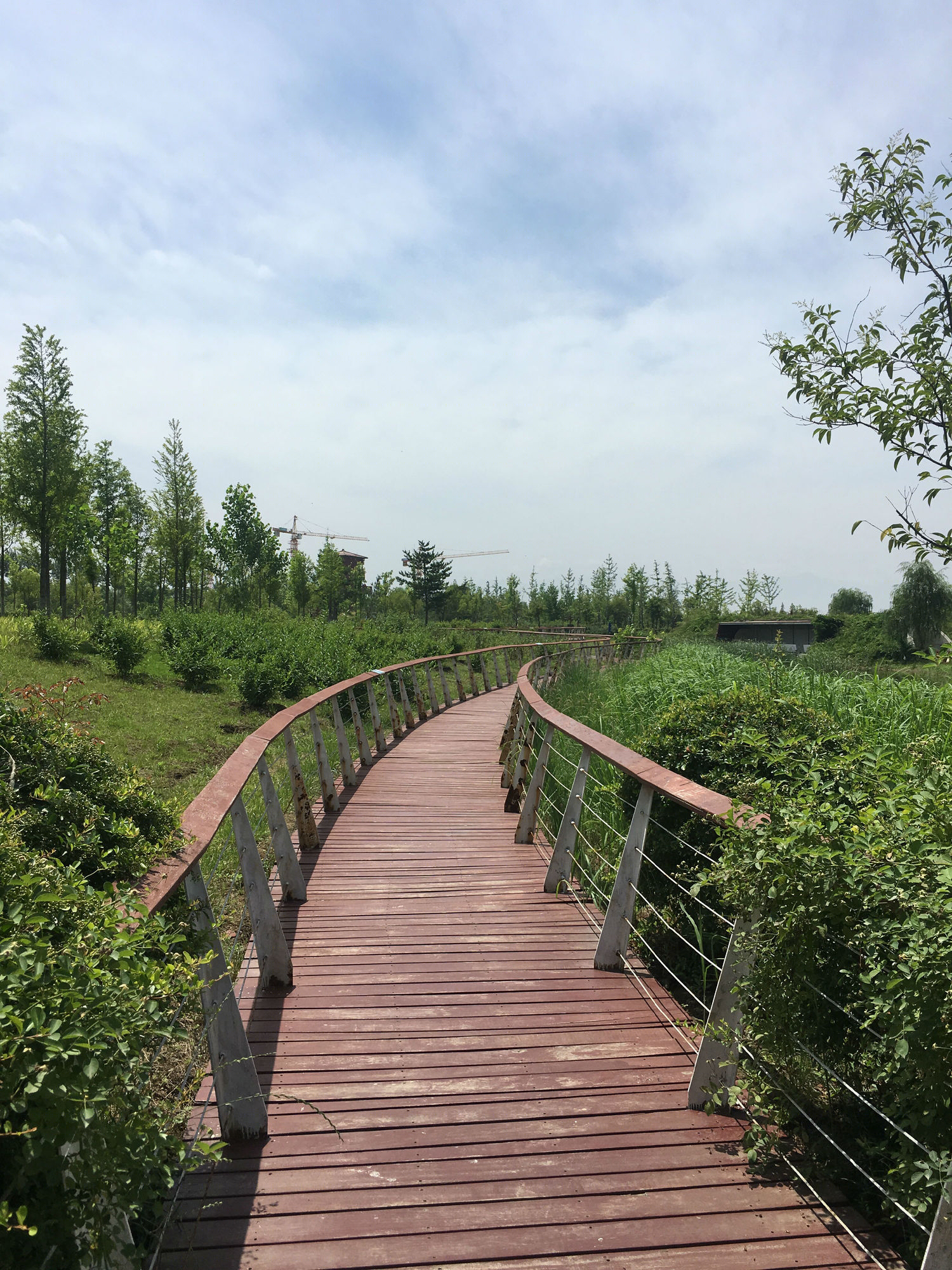 沣河滨河公园-53