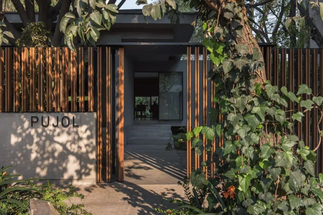 墨西哥 PUJOL 餐厅丨墨西哥墨西哥城丨JSa 工作室-45