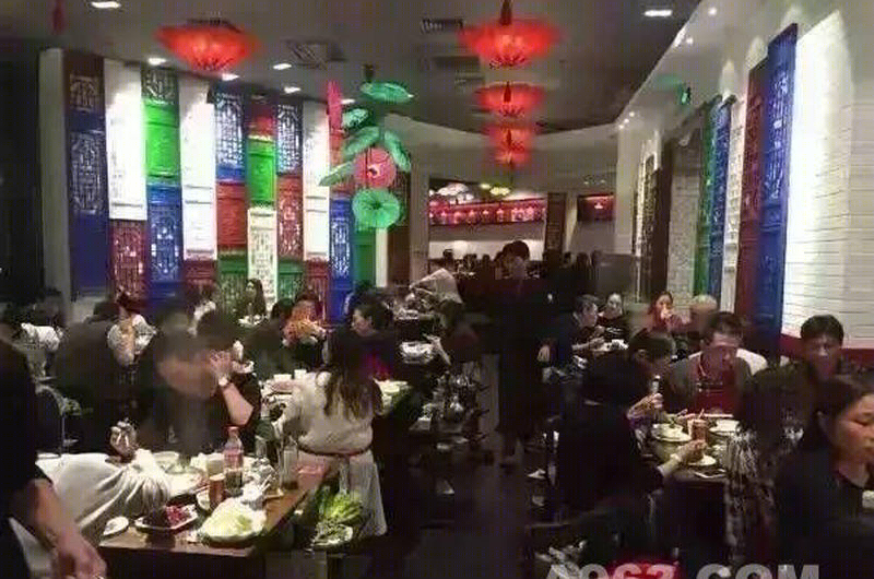 毛椒火辣-3