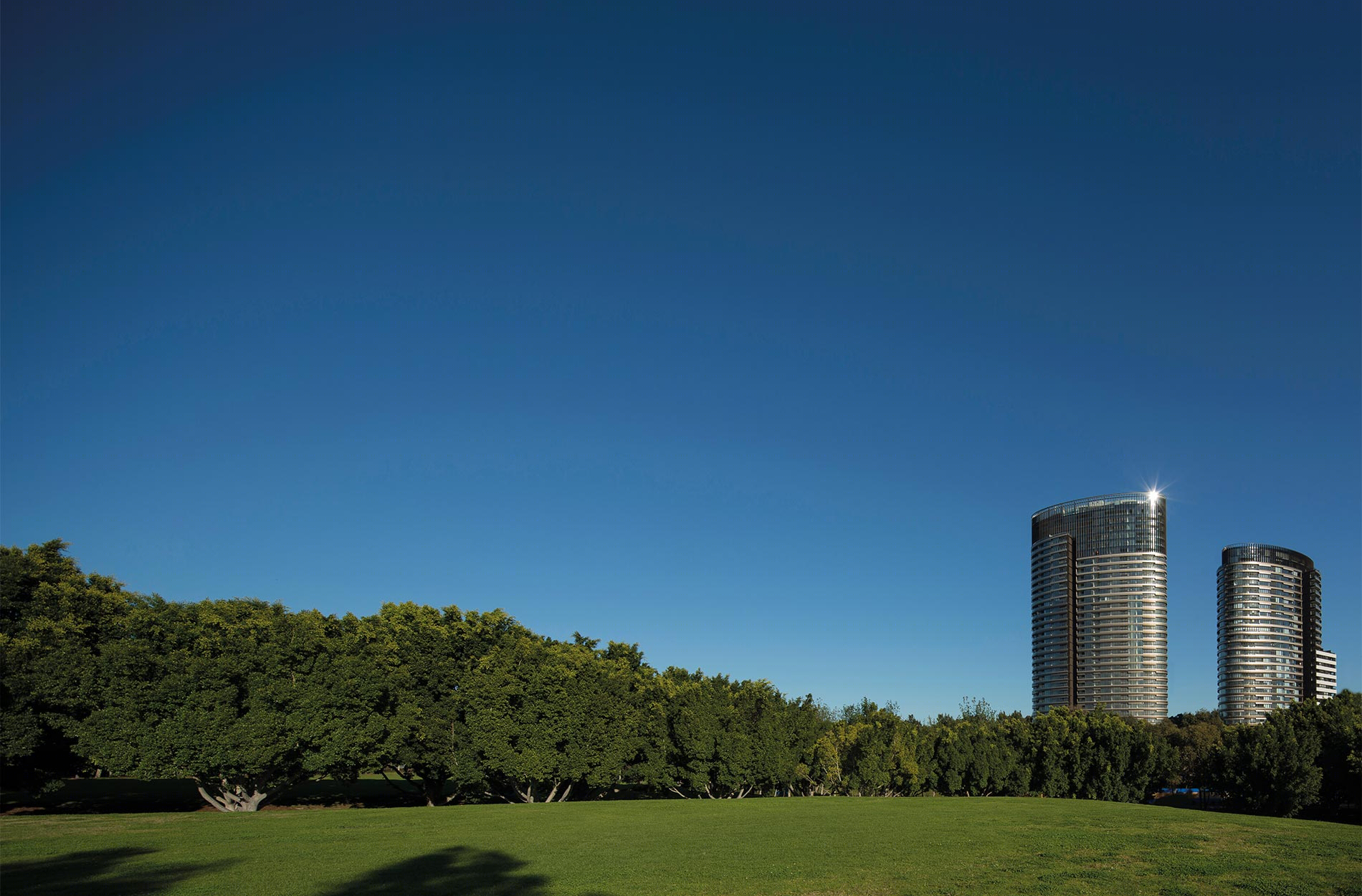 Australia Towers, Sydney Bates Smart-1