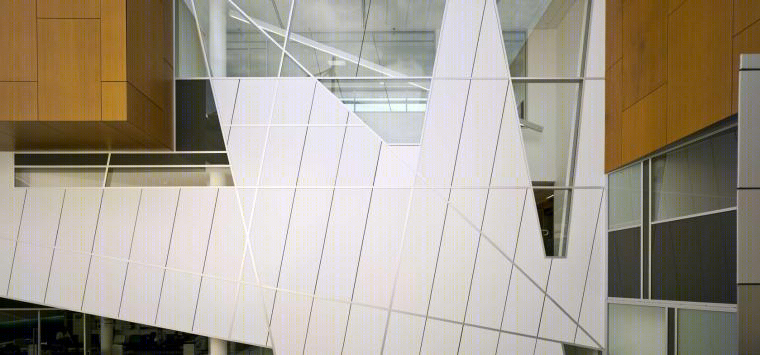 黑镇医学院及研究中心丨MSJ Architects-16