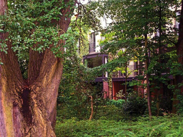 英国剑桥协和住宅景观-5