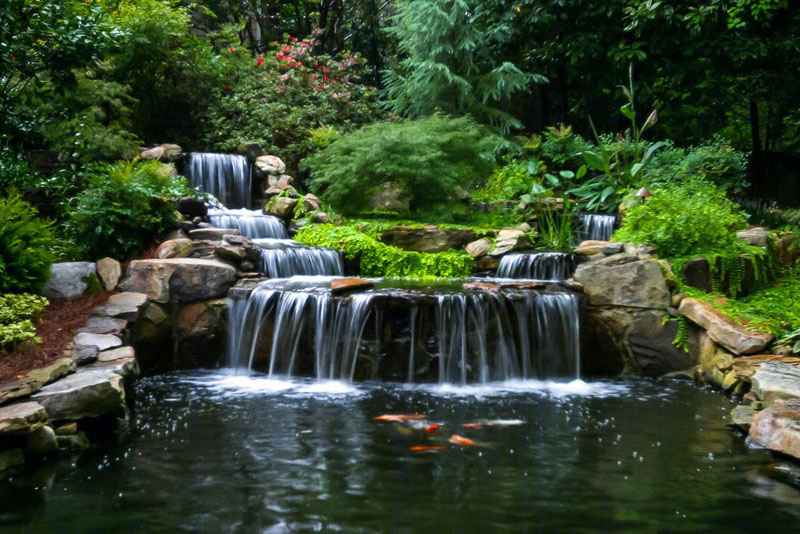 Artistic Landscapes 住宅小院的水景景观-15