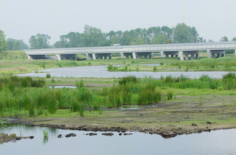 荷兰 N356 高速路 · 黑暗中的灯光艺术-15