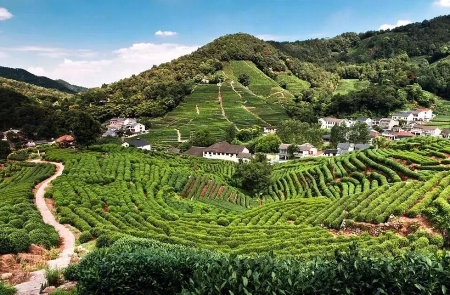 翻新杭州君悦酒店 | 西湖 C 位,山水画般的度假体验-92