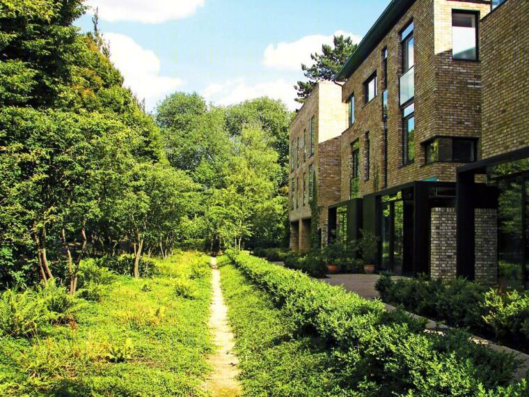 英国剑桥协和住宅景观-11
