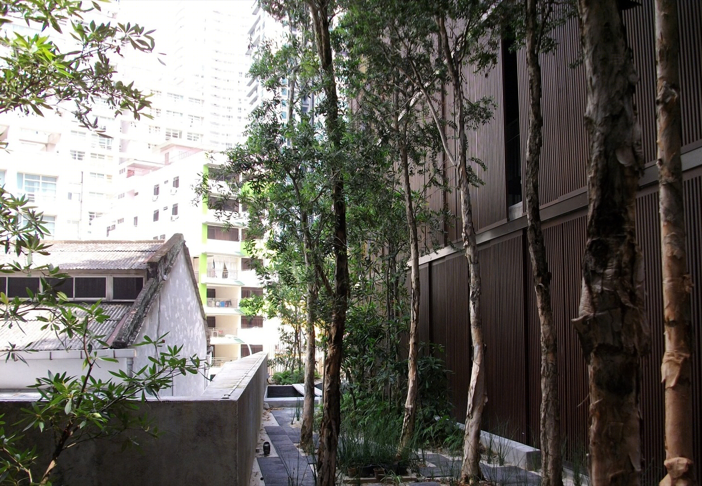 新加坡Killiney路住宅大厅丨ipli architects-21