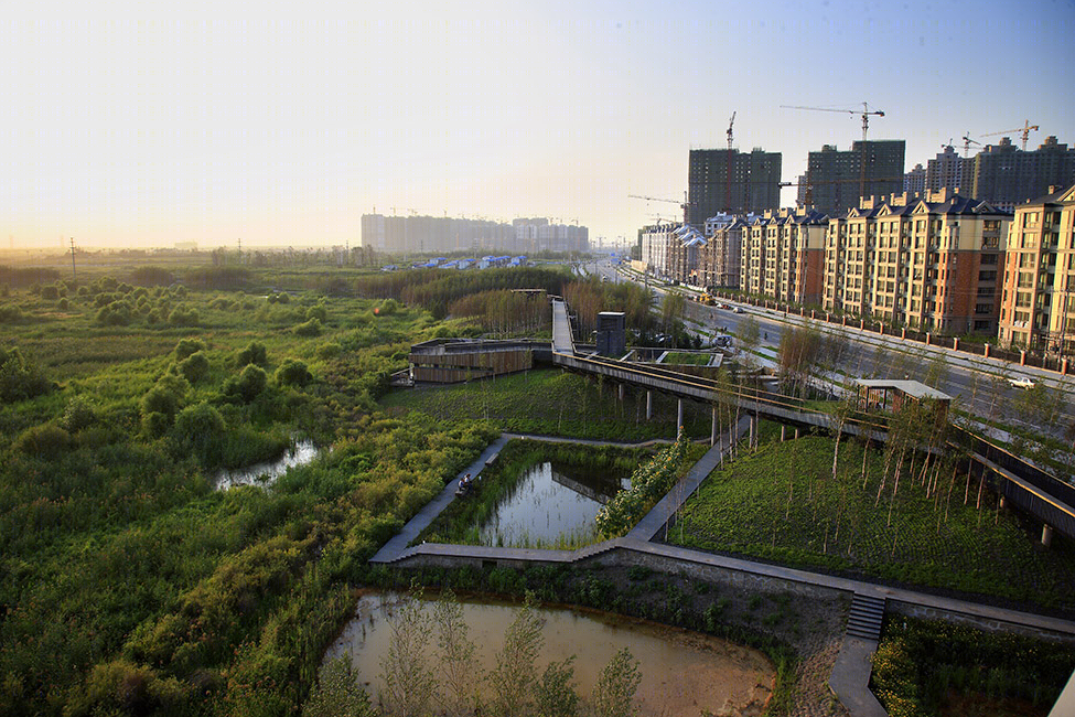 哈尔滨群力国家城市湿地-0