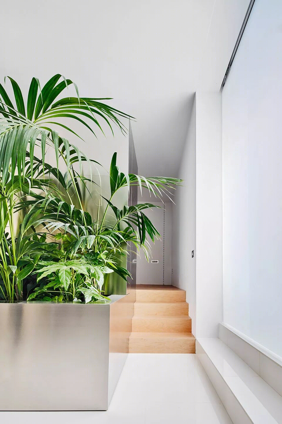 巴塞罗那 Pujades 大街公寓翻新，打造错层空间与绿意生活-8