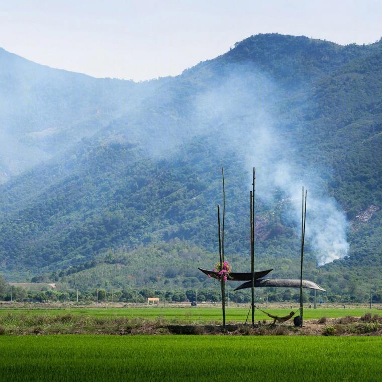 越南的田野小筑景观-11