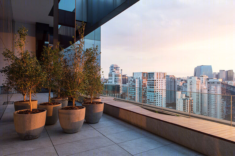 São Paulo Google Office 会议中心-33